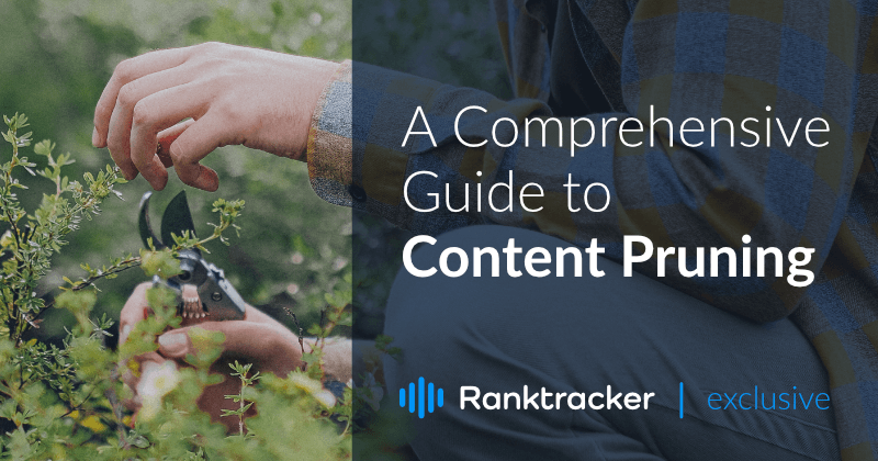 A Comprehensive Guide to Content Pruning And How It Works
