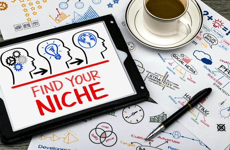 Select a Niche
