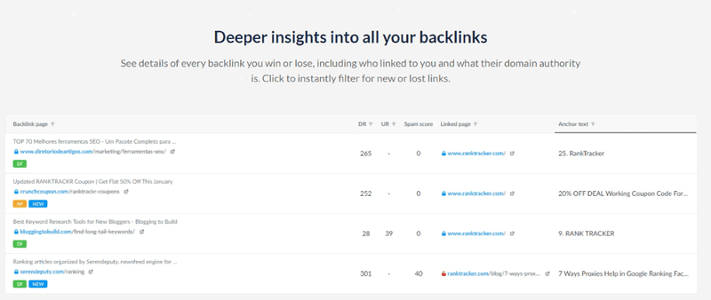 Not building and maintaining backlinks