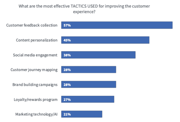 What are the most effective tactics used for improving the customer experience?