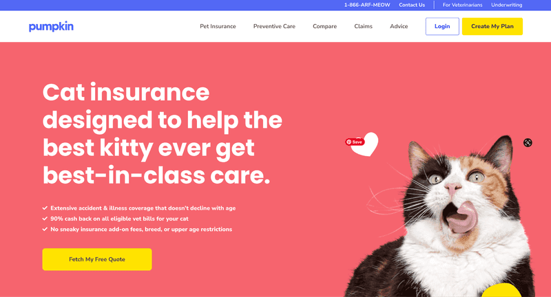 cat insurance