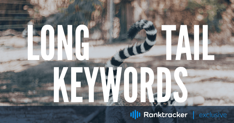 Long Tail Keywords i SEO: Hvad er de og hvordan man bruger dem?