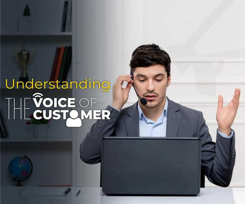 Understanding the Voice of the Customer