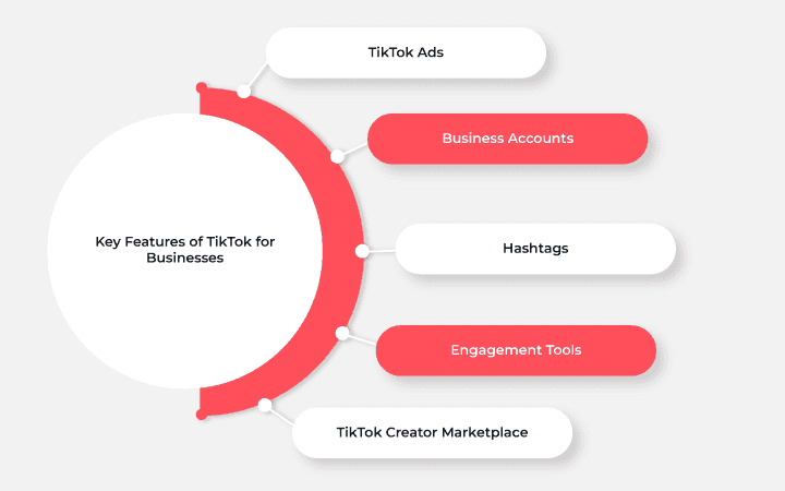 Key Features of TikTok for Businesses