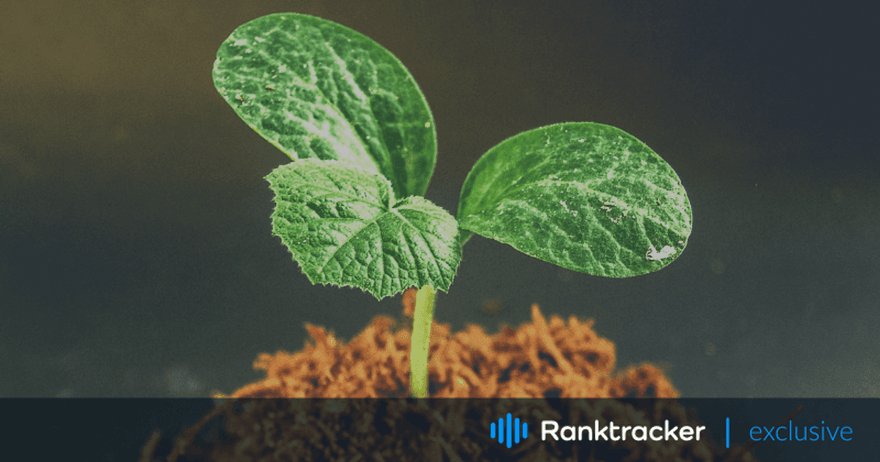 7 Cele mai bune moduri de a crește startup-ul tău SaaS folosind PPC și SEO