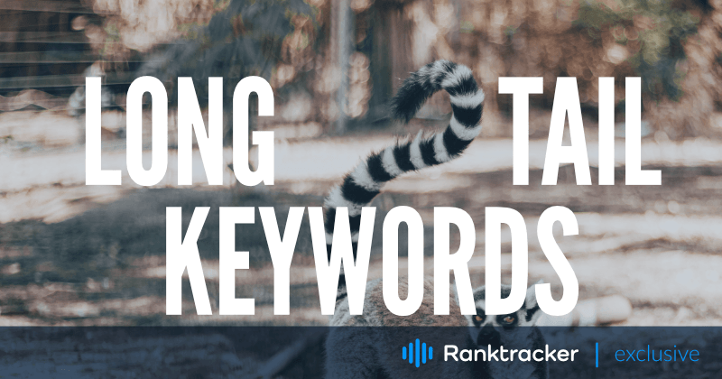 Long Tail Keywords in SEO: Was sind sie und wie verwendet man sie?