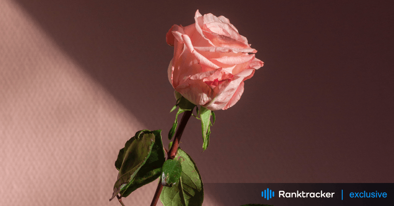 Ρομαντικές εξελίξεις στο LinkedIn: Χάνει η πλατφόρμα την ουσία της;