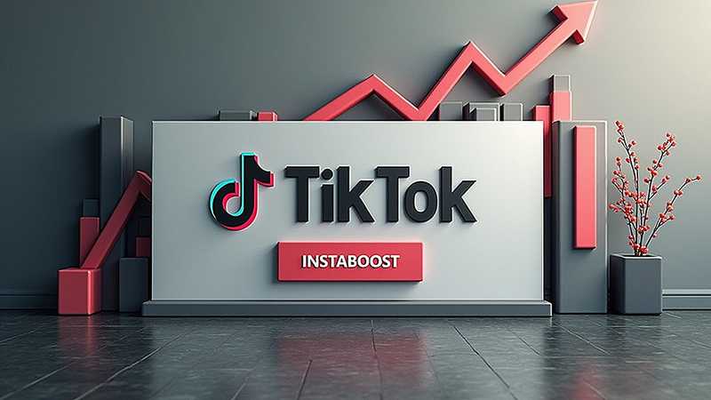 InstaBoost beli suka TikTok