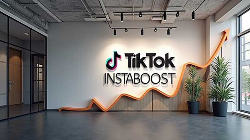 InstaBoost pirkti TikTok paketus