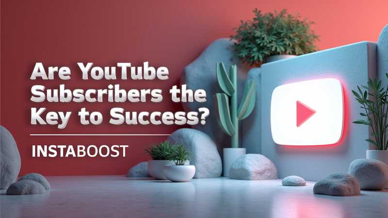 InstaBoost：快速购买 YouTube 订阅者