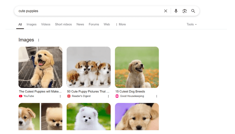 Image & Video Carousels