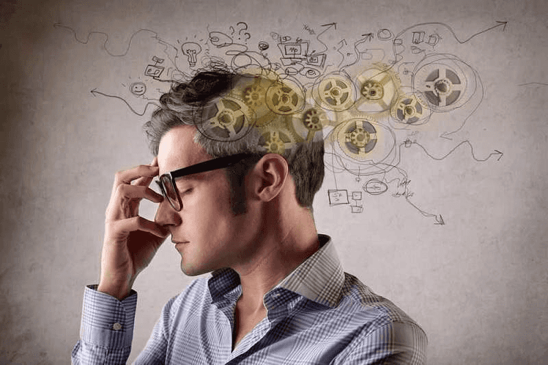 Impacts SEO Decision Making