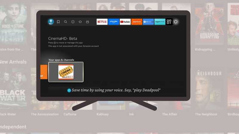 Firestick Popularity