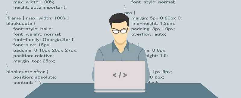 SEO Developer