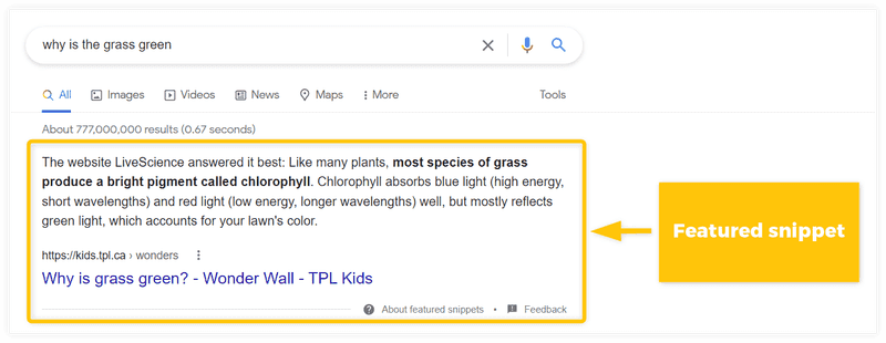 SERP Insight
