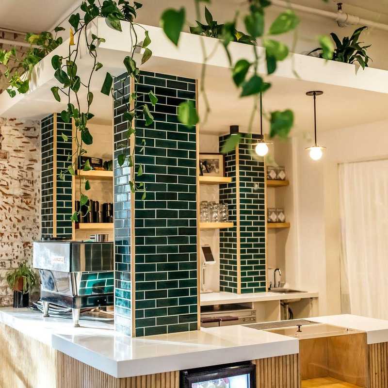 AI Overviews